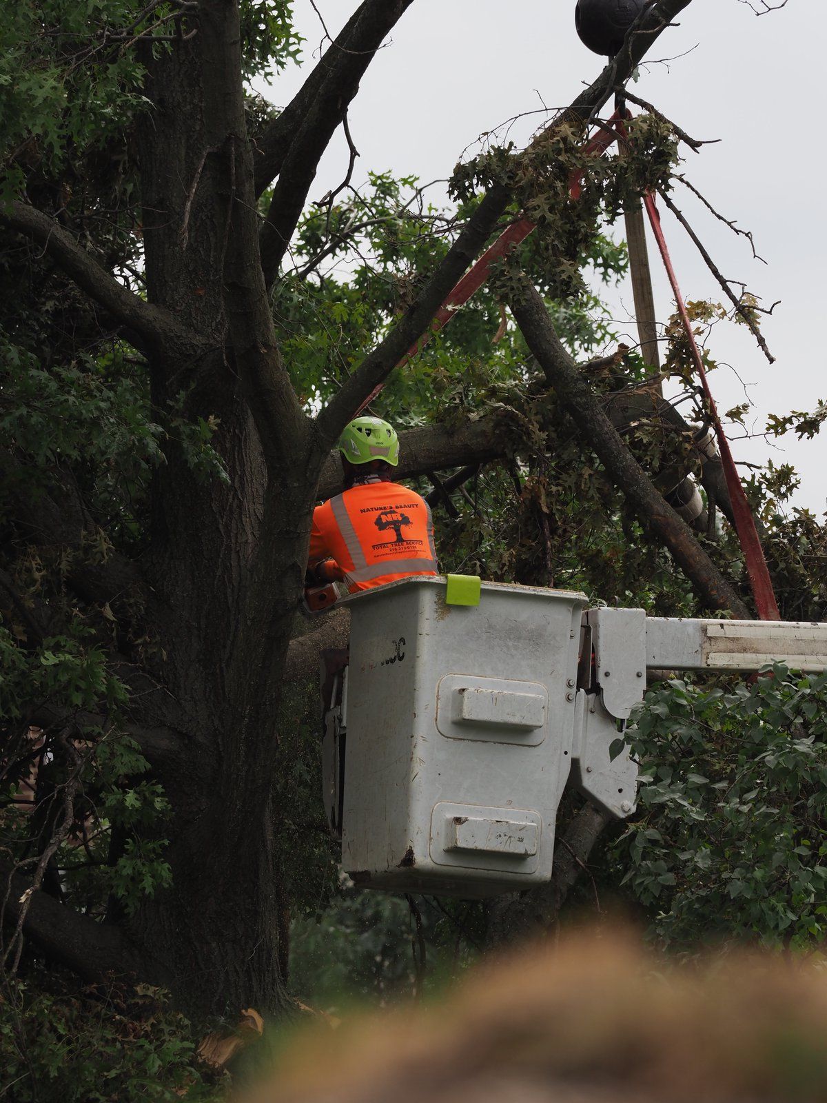Bucket Truck Reaching High