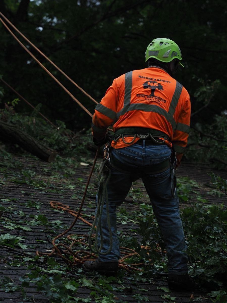 Climber with Safety Harness