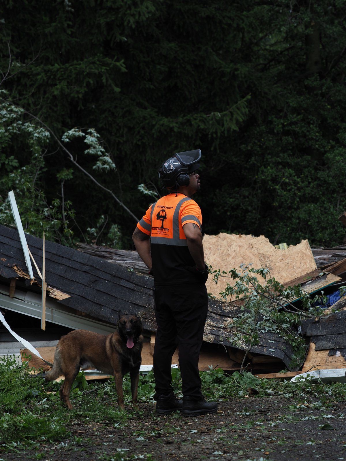 Emergency Tree Service