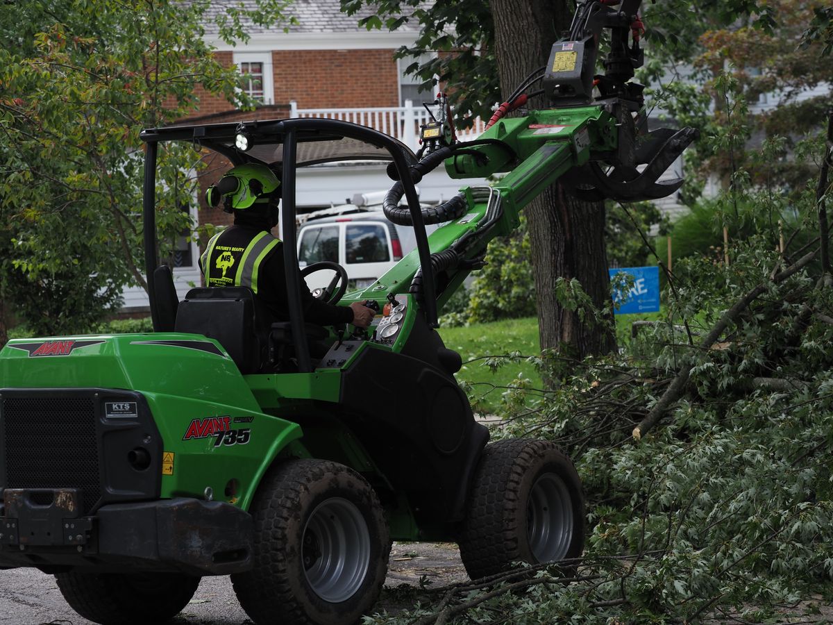 Loader Clearing Trees