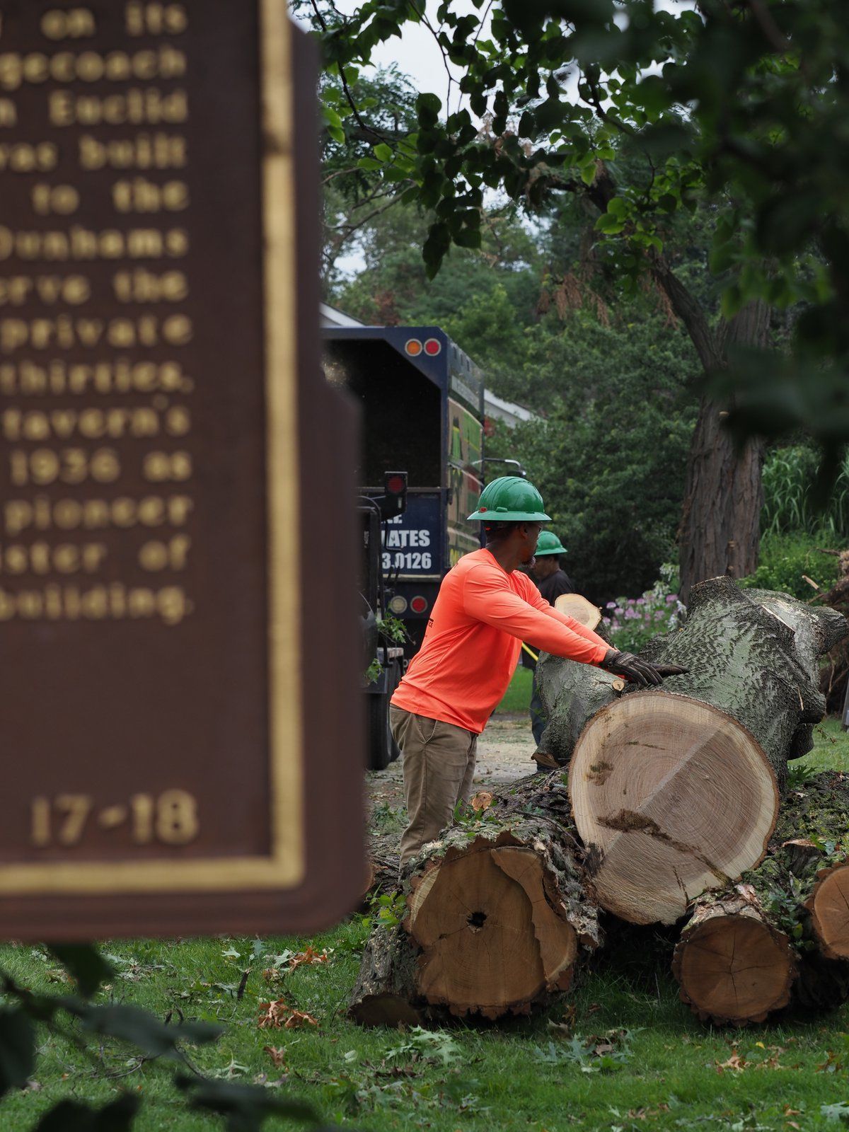 Stacking Cut Logs