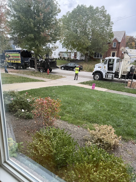 Photo from Jennifer G.'s review