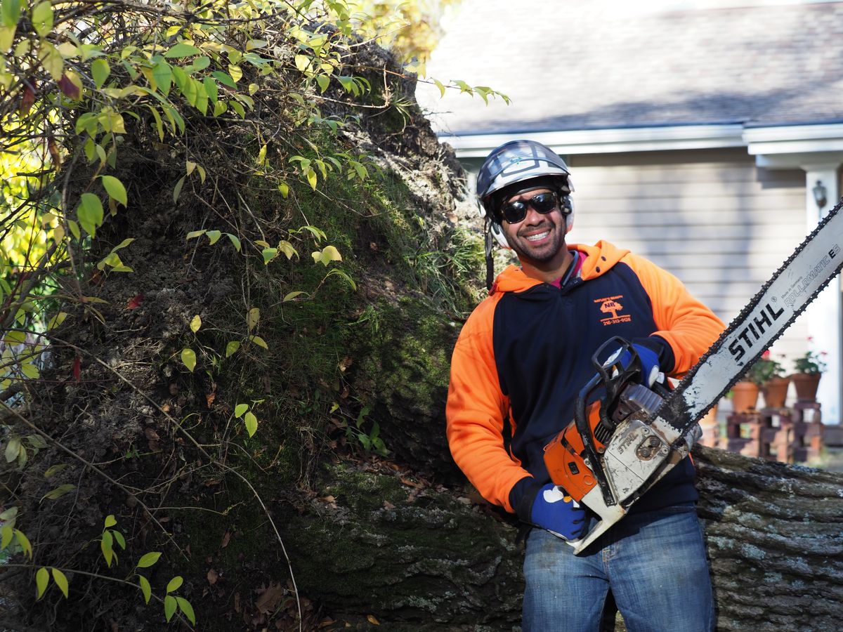 Seth with Stihl