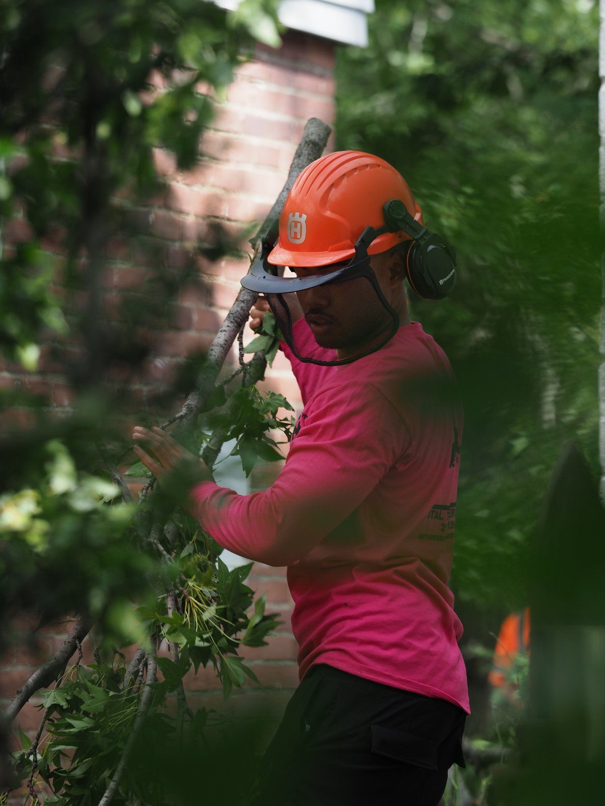 Trimming Through Canopy